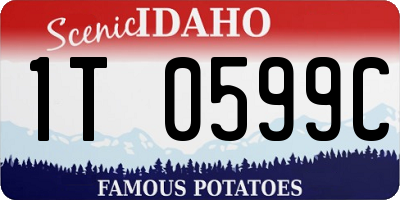 ID license plate 1T0599C