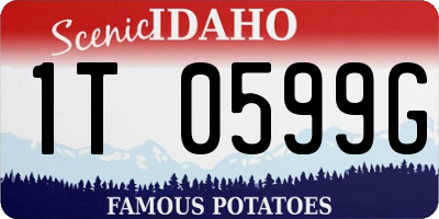 ID license plate 1T0599G