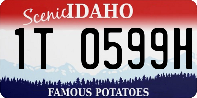 ID license plate 1T0599H