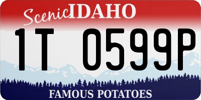 ID license plate 1T0599P
