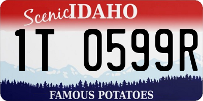ID license plate 1T0599R