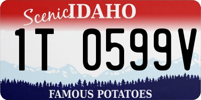 ID license plate 1T0599V