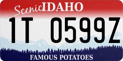 ID license plate 1T0599Z