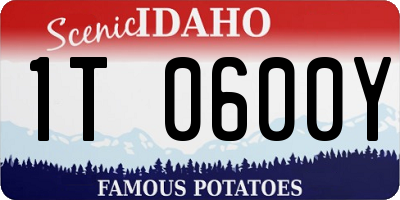 ID license plate 1T0600Y