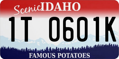 ID license plate 1T0601K