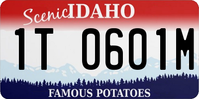 ID license plate 1T0601M