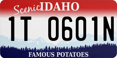 ID license plate 1T0601N