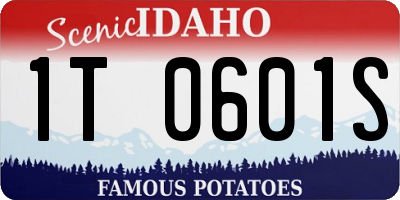 ID license plate 1T0601S