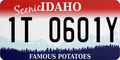 ID license plate 1T0601Y