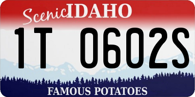 ID license plate 1T0602S