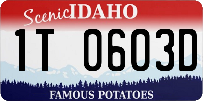 ID license plate 1T0603D