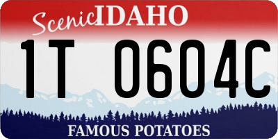 ID license plate 1T0604C