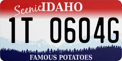 ID license plate 1T0604G