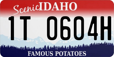 ID license plate 1T0604H