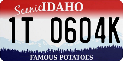 ID license plate 1T0604K