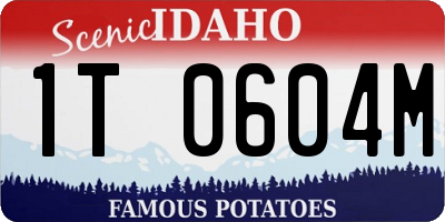 ID license plate 1T0604M