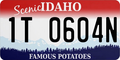 ID license plate 1T0604N