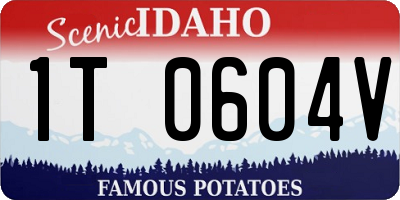 ID license plate 1T0604V