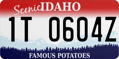 ID license plate 1T0604Z