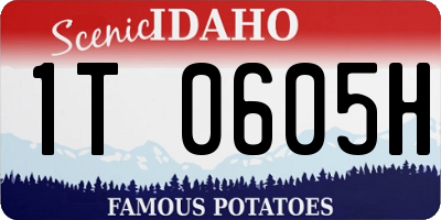 ID license plate 1T0605H