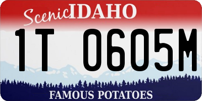 ID license plate 1T0605M