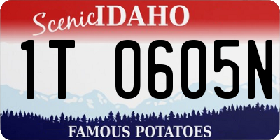 ID license plate 1T0605N