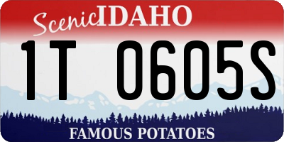 ID license plate 1T0605S