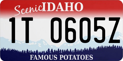 ID license plate 1T0605Z