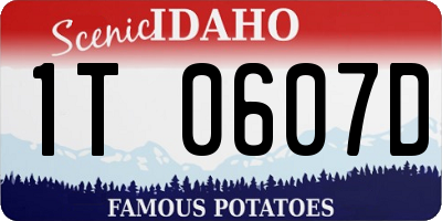 ID license plate 1T0607D