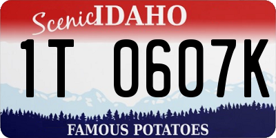 ID license plate 1T0607K