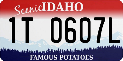 ID license plate 1T0607L