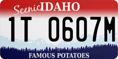 ID license plate 1T0607M