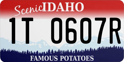 ID license plate 1T0607R