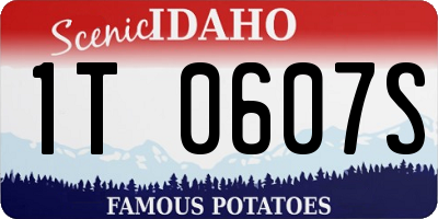 ID license plate 1T0607S