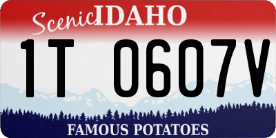 ID license plate 1T0607V