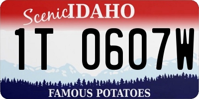 ID license plate 1T0607W
