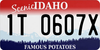 ID license plate 1T0607X
