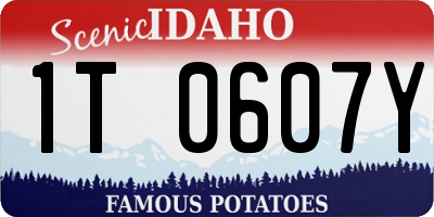 ID license plate 1T0607Y
