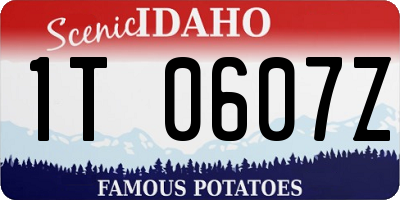 ID license plate 1T0607Z