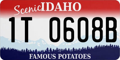 ID license plate 1T0608B