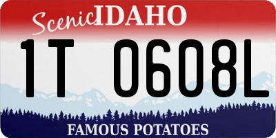 ID license plate 1T0608L