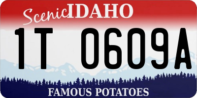 ID license plate 1T0609A