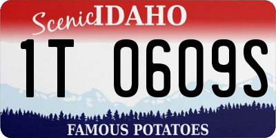 ID license plate 1T0609S