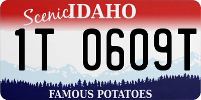 ID license plate 1T0609T
