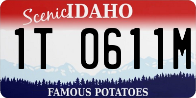 ID license plate 1T0611M