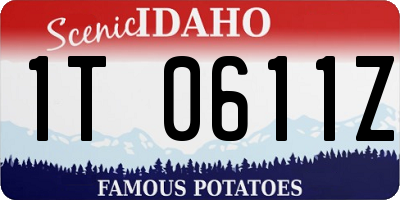 ID license plate 1T0611Z