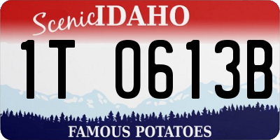 ID license plate 1T0613B