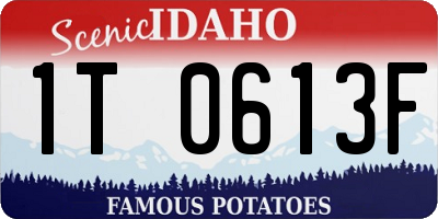 ID license plate 1T0613F