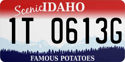 ID license plate 1T0613G