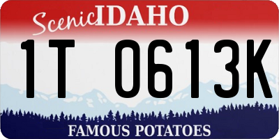 ID license plate 1T0613K